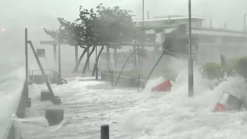 2023 Hurricane Names Released: Is Your Name on the List?