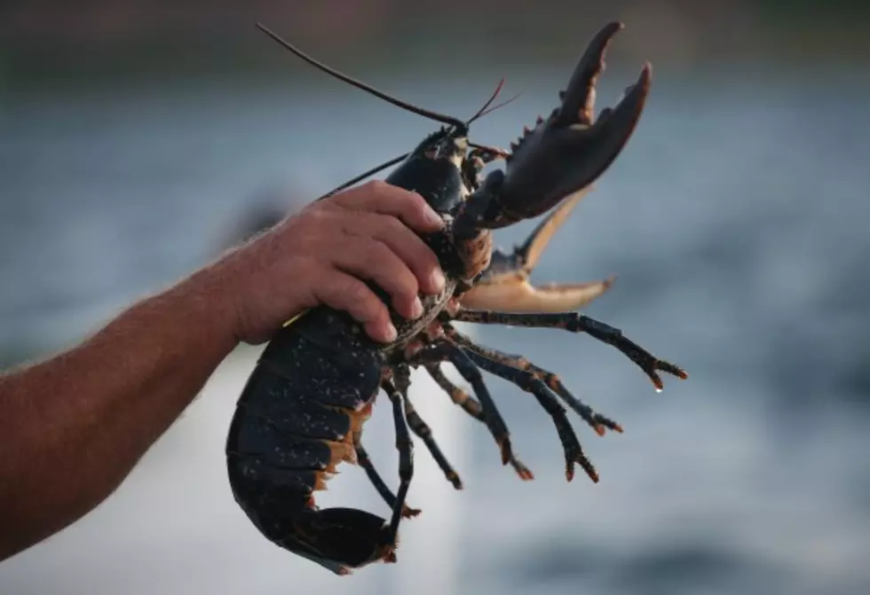 Case of the Sioux Falls Lobster Mobster Heist