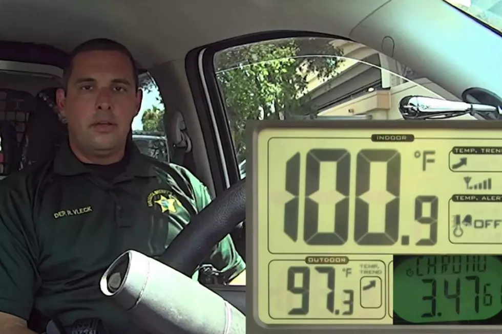 Watch How Quickly Cars Heat Up On A Sunny Day