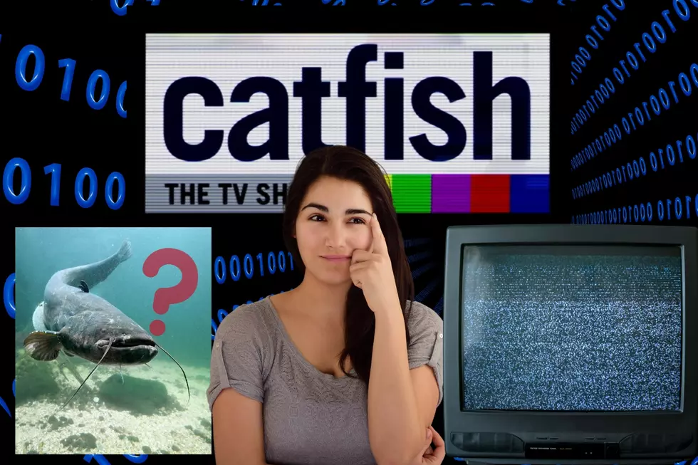 From Myth To Metaphor: Where Did the Term ‘Catfish’ Come From?