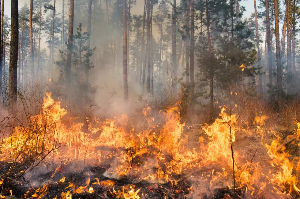 Wildfire Danger: These South Dakota Counties Are Most at Risk