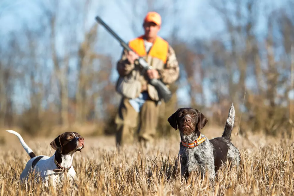 South Dakota Hunting Season 2025: Dates and Details