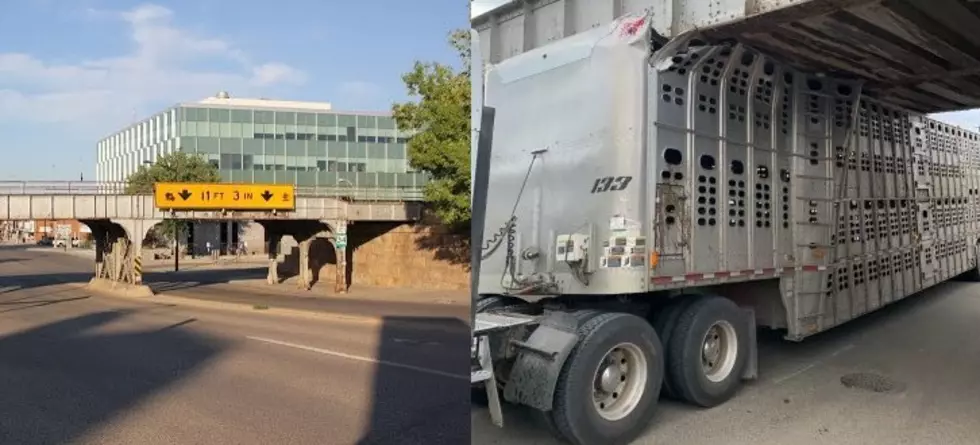 The Pierre Street ‘Can Opener’ Wins Again