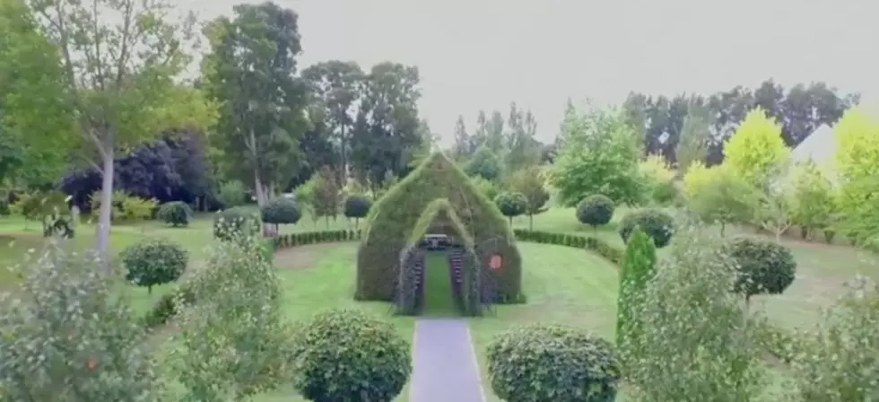 An Actual Living, Breathing Outdoor Church