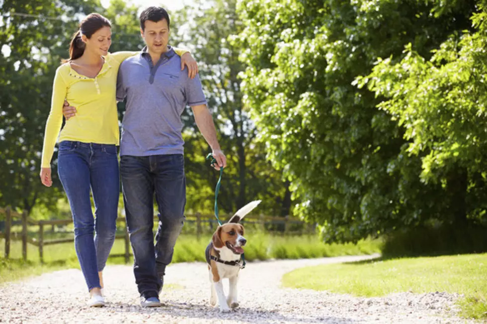 What is America’s Top Dog Name?