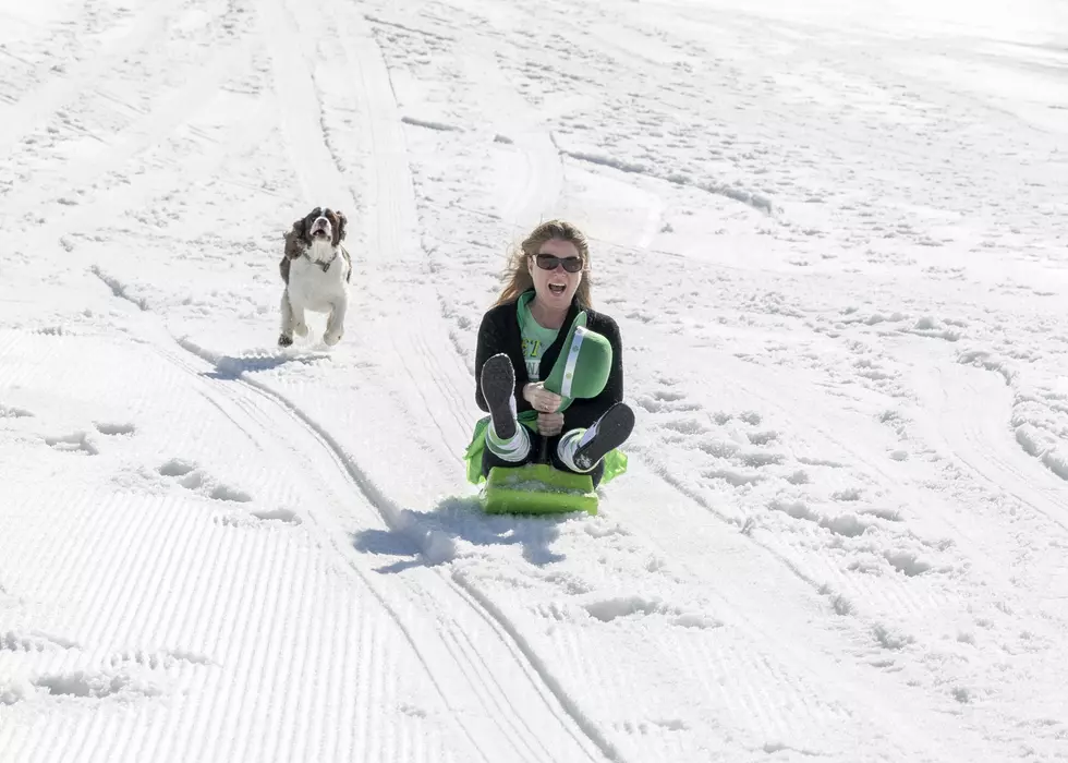 Goodbye Winter, Hello Snirtfest at Great Bear