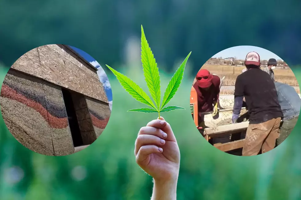Hempcrete: Is Colorado’s Hemp-Based Concrete a Game Changer?