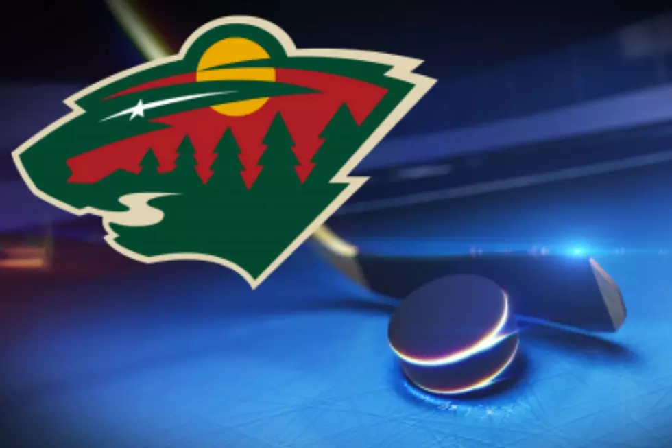 Minnesota Wild GM Named to Same Roll With USA Hockey