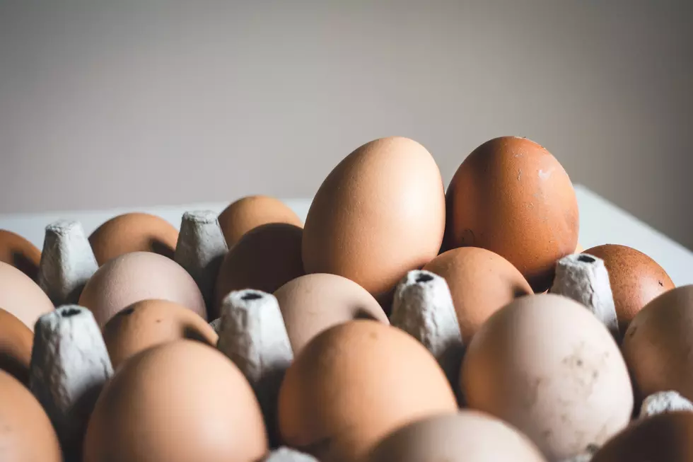 Iowa Eggs Scramble All Other States-14.9 Billion Produced